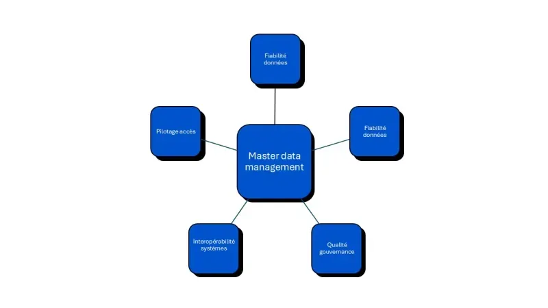 master data management