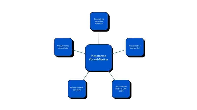 plateforme cloud-native